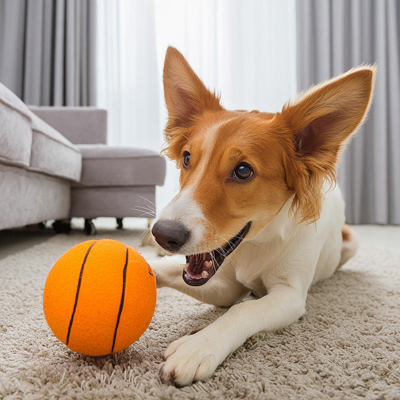 Hundespielzeug