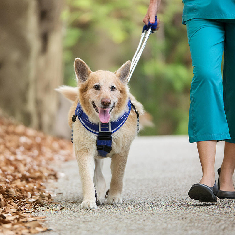 Zubehör Für Hundeausläufe